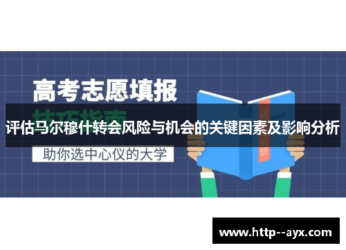 评估马尔穆什转会风险与机会的关键因素及影响分析