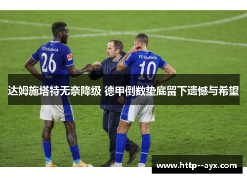 达姆施塔特无奈降级 德甲倒数垫底留下遗憾与希望